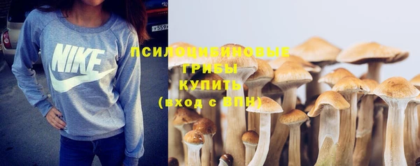 спайс Каменка
