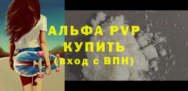 apvp Каменногорск