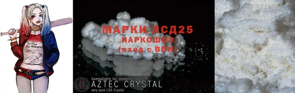 спайс Каменка