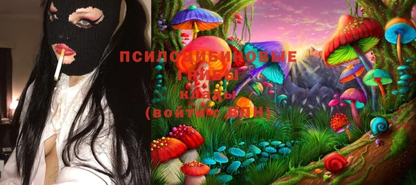 спайс Каменка