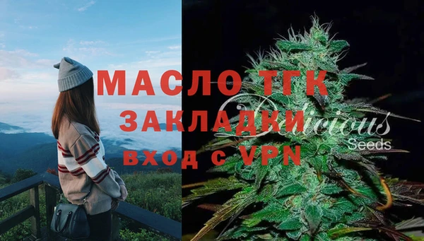 спайс Каменка