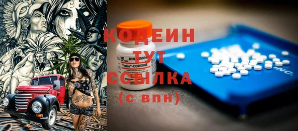 apvp Каменногорск