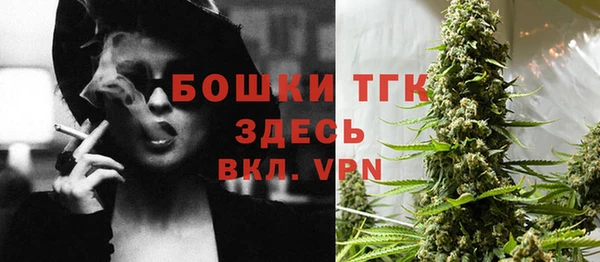 apvp Каменногорск