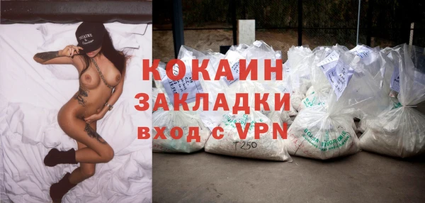 apvp Каменногорск