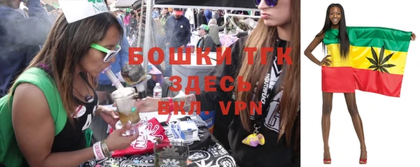 спайс Каменка