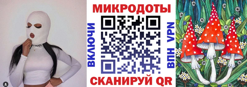 купить наркотики цена  Бердск  Псилоцибиновые грибы Cubensis 