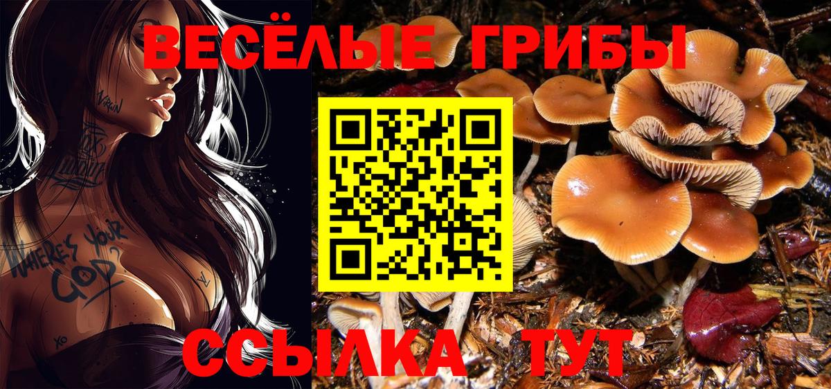 Галлюциногенные грибы мицелий Бердск