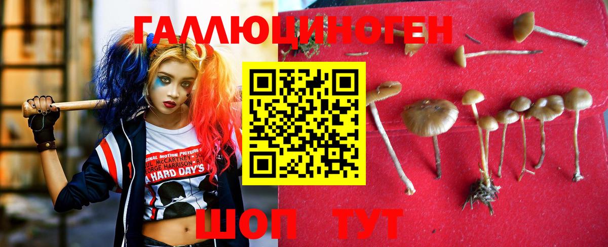 Бердск  Галлюциногенные грибы ЛСД  Вход с VPN  Псилоцибиновые грибы мухоморы 